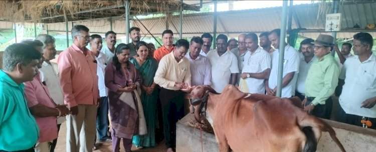 वैभववाडी येथे भाजपा किसान मोर्चाच्या वतीने गोमाता पुजन व नैसर्गिक शेती परिसंवाद