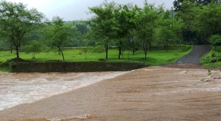 वैभववाडी तालुक्यात जोरदार पाऊस