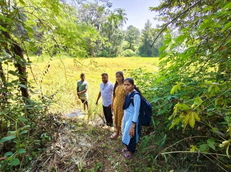 शेतकऱ्यांच्या मदतीसाठी उपसरपंचांचा तत्पर प्रतिसाद......न्हावेलीत पिक नुकसानीची पाहणी सुरू