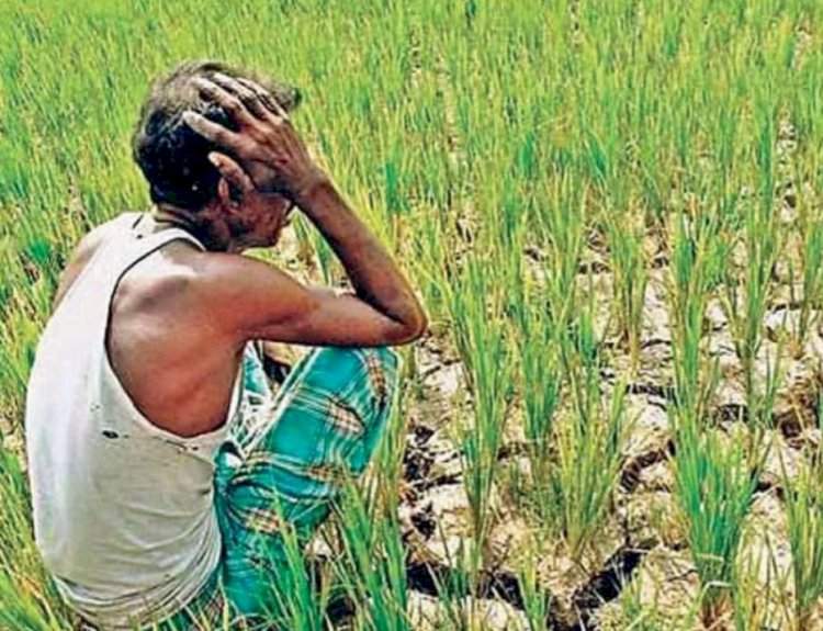 अवकाळी पाऊस – परतीचा पाऊस की परतीचे दुःख ?