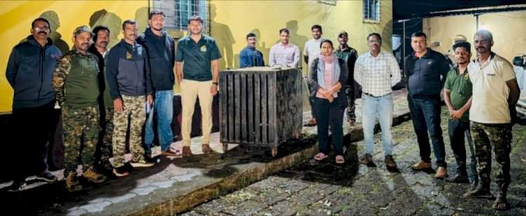 फासकीत अडकलेल्या बिबट्याला वनविभागाच्या अधिकाऱ्यांनी केले जेरबंद