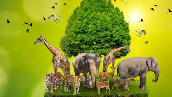 जागतिक वन्य प्राणी दिवस