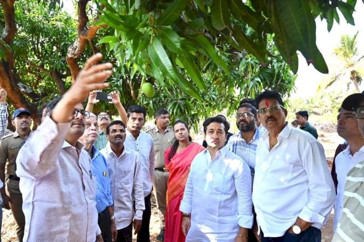 नुकसान झालेल्या देवगड येथील बागांची पालकमंत्र्यांकडून पाहणी....लवकरच मदतीची घोषणा केली जाईल; पालकमंत्र्यांचे आश्वासन