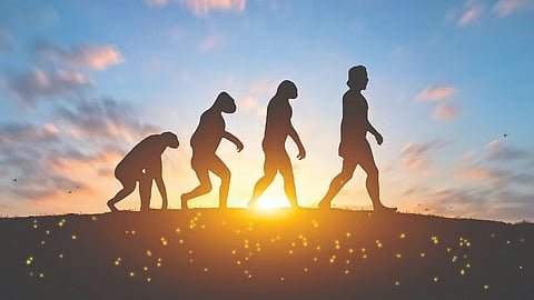 मानवी उत्क्रांतीचा वेग अद्यापही कायम; गेल्या १०००० वर्षांत ५०० जनुकांमध्ये बदल