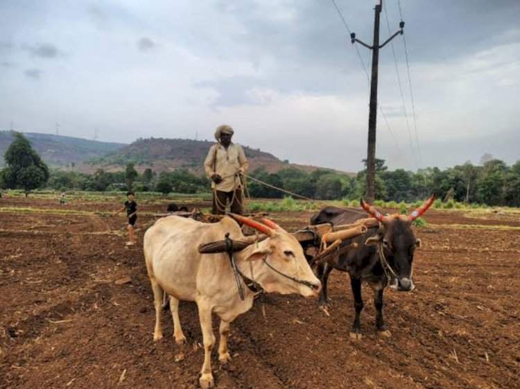 मृगाच्या पावसाची प्रतीक्षा.....खरीप तयारी अंतिम टप्प्यात, मात्र महागाईने शेतकरी चिंतेत !