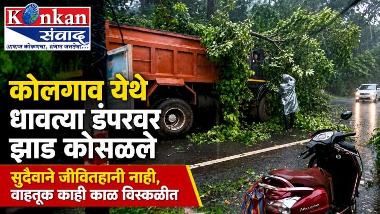 कोलगाव येथे धावत्या डंपरवर झाड कोसळले.....सुदैवाने जीवितहानी नाही, वाहतूक काही काळ विस्कळीत