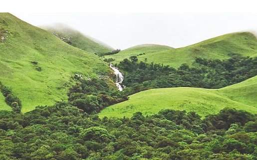 सावंतवाडी-दोडामार्गमधील २५ गावे पर्यावरण संवेदनशील क्षेत्रात....बेकायदा वृक्षतोडीवर टास्क फोर्सची नजर